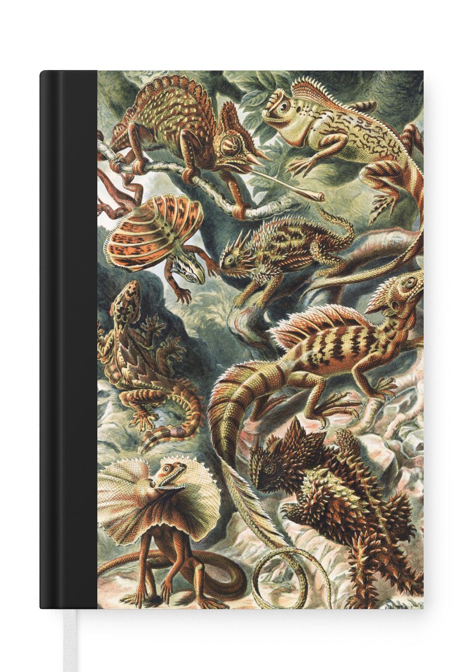 MuchoWow Notizbuch Jahrgang - Kunst - Ernst Haeckel - Salamander - Tiere, Journal, Merkzettel, Tagebuch, Notizheft, A5, 98 Seiten, Haushaltsbuch