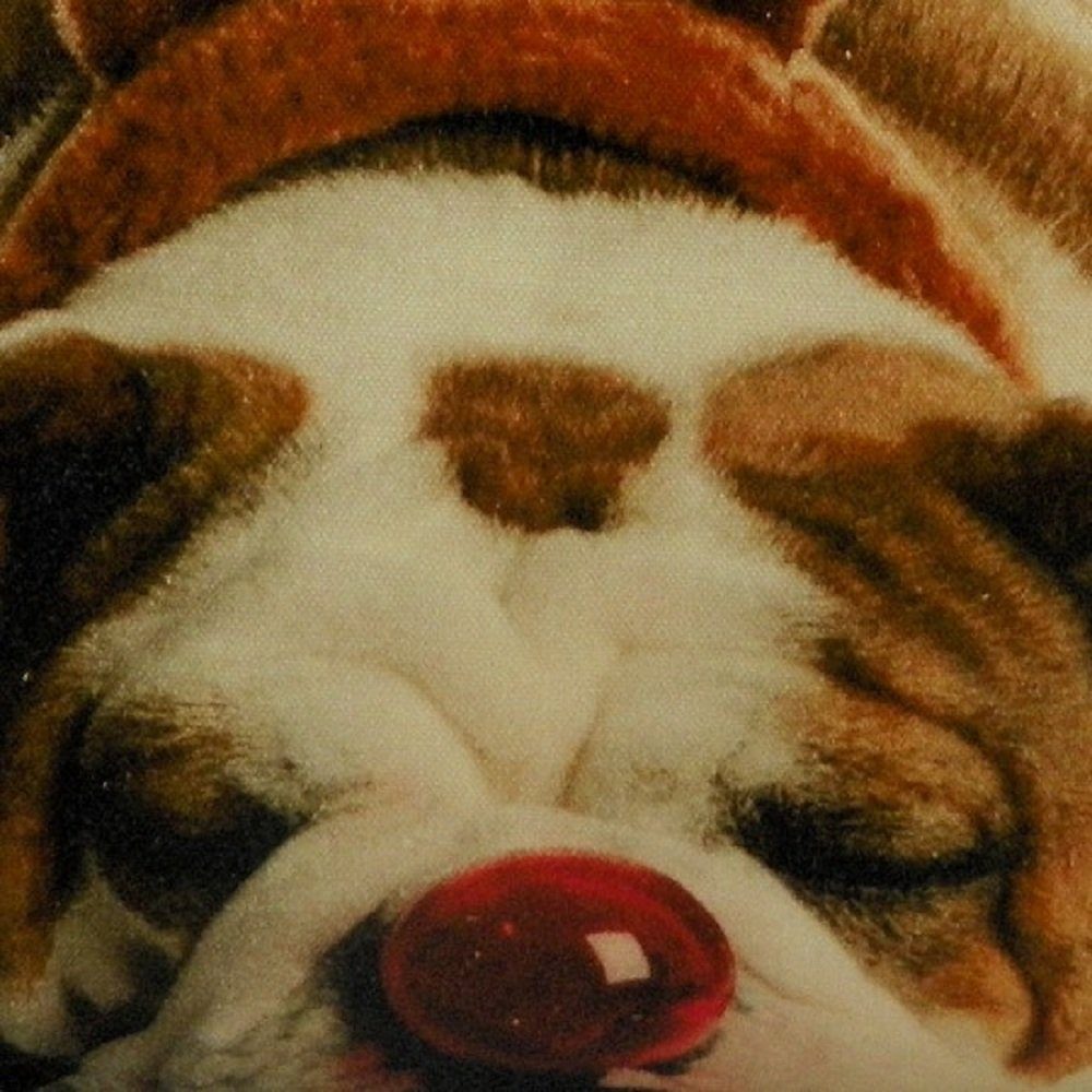 Dekokissen More Mars Weihnachten & Englische GKKSKEB Bulldogge,