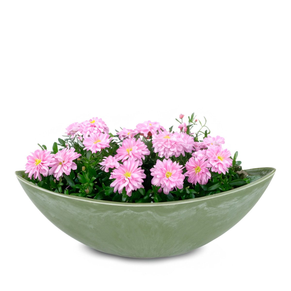 matches21 HOME & HOBBY Blumentopf Große Pflanzschale oval Jardiniere 39 cm in grün für aussen (1 St), Outdoor Schiff Deko-Schale als Blumen-Schale Pflanz-Topf Garten-Deko