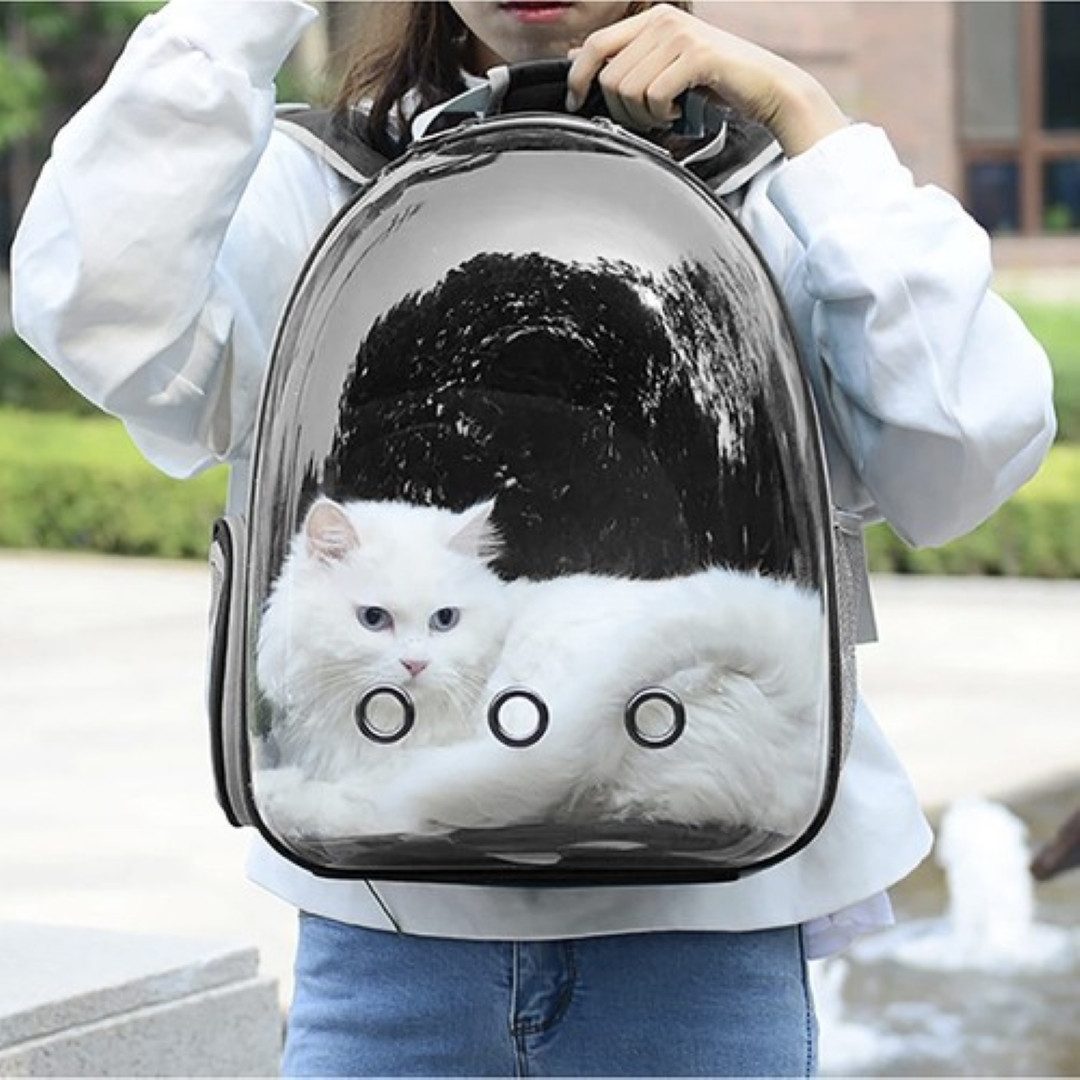 Purlov Tiertransporttasche Tiertransport-Rucksack für Katzen, Hunde und kleine Haustiere" bis 5,00 kg, Transparente Plexiglas-Front