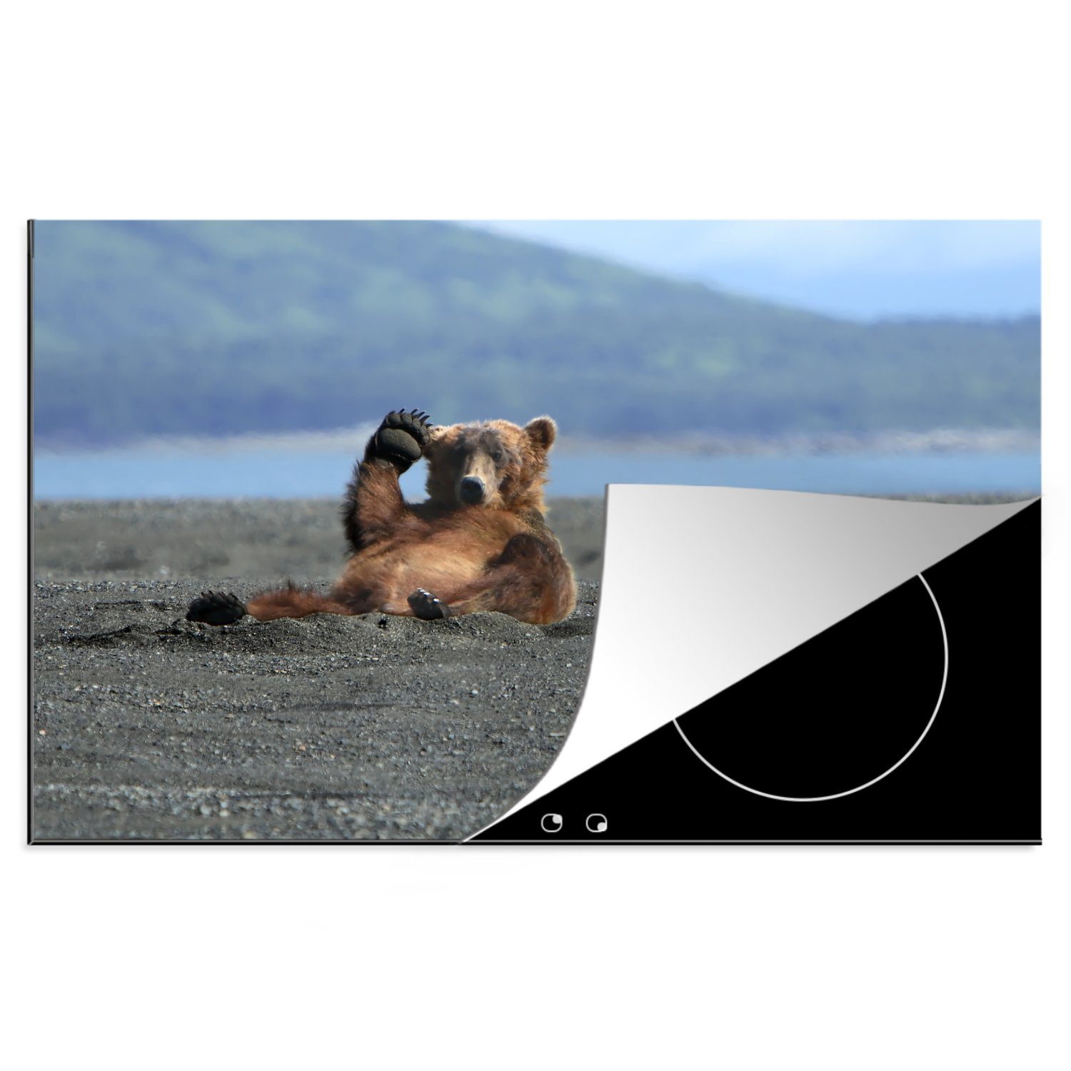 MuchoWow Herdblende-/Abdeckplatte Grizzlybär - Sand - Meer, Vinyl, (1 tlg), 81x52 cm, Induktionskochfeld Schutz für die küche, Ceranfeldabdeckung