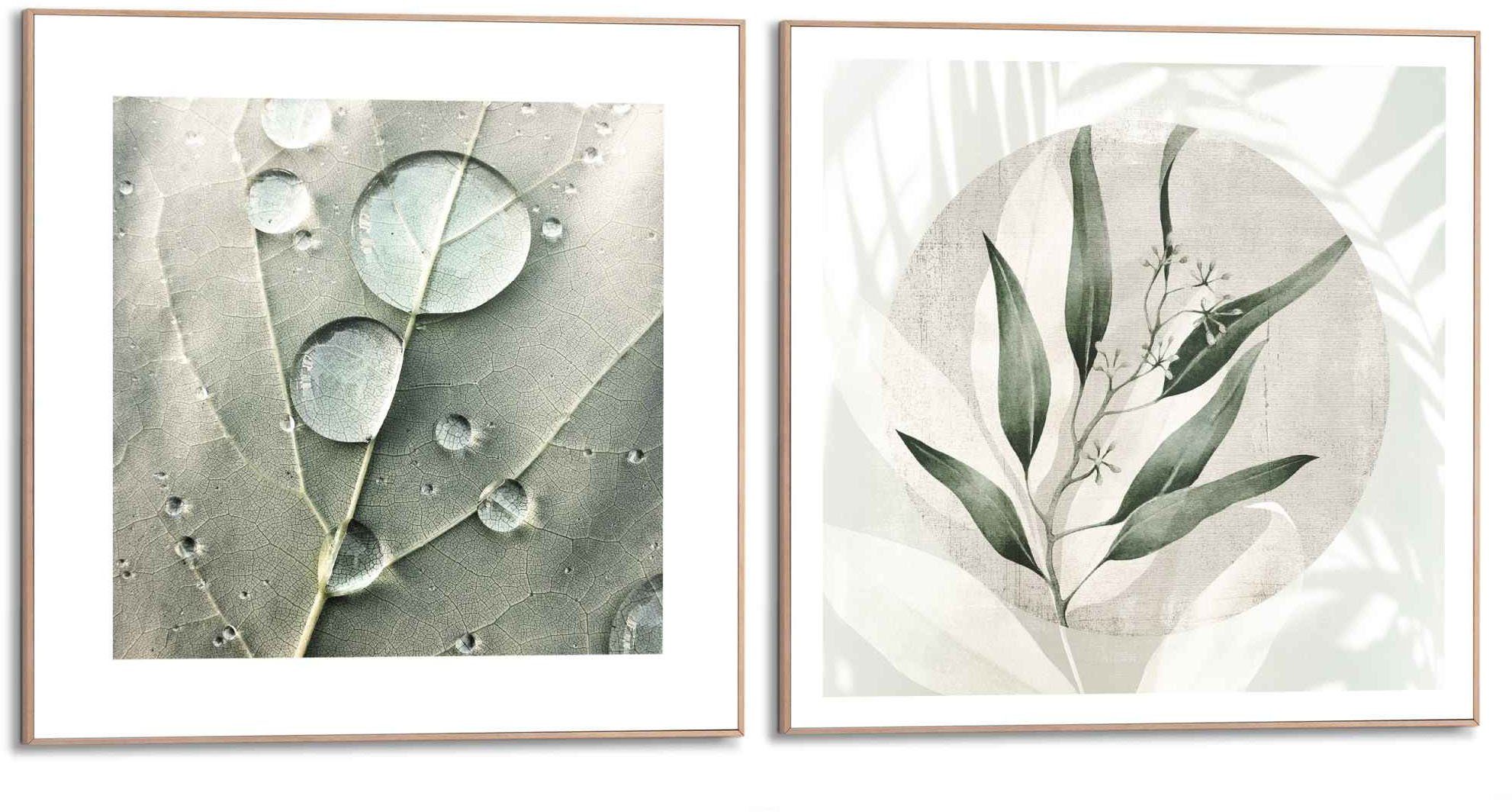 Reinders! Wandbild Tautropf Botanisch - Blätter - Abstrakt - Natur, (2 St) | Kunstdrucke
