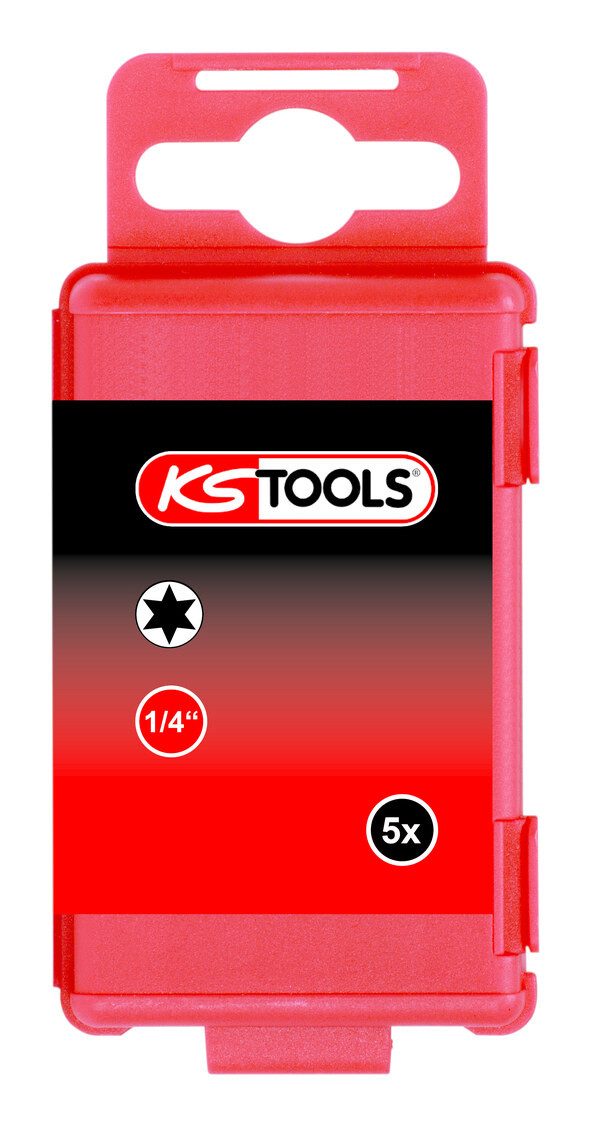 Torx-Bit