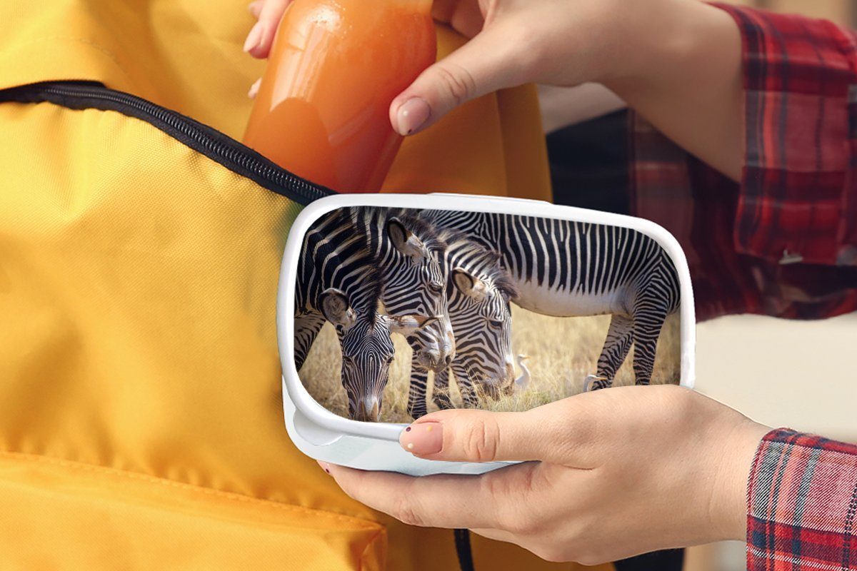 für Kunststoff, Kinder - weiß Lunchbox MuchoWow Jungs - Zebra Brotbox Weiden Erwachsene, Safari, und für (2-tlg), und Brotdose, Mädchen