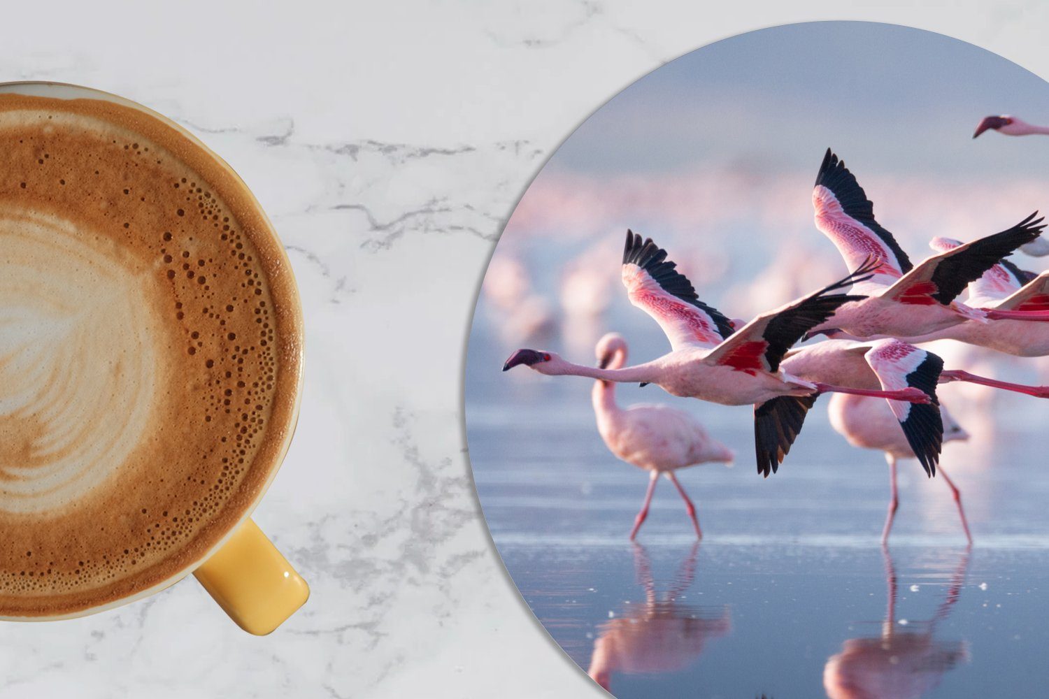 MuchoWow Glasuntersetzer Flamingo - Vogel Tasse, Getränkeuntersetzer, Wasser Zubehör - Becher Tassenuntersetzer, Gläser, Rosa, - 6-tlg., für Korkuntersetzer
