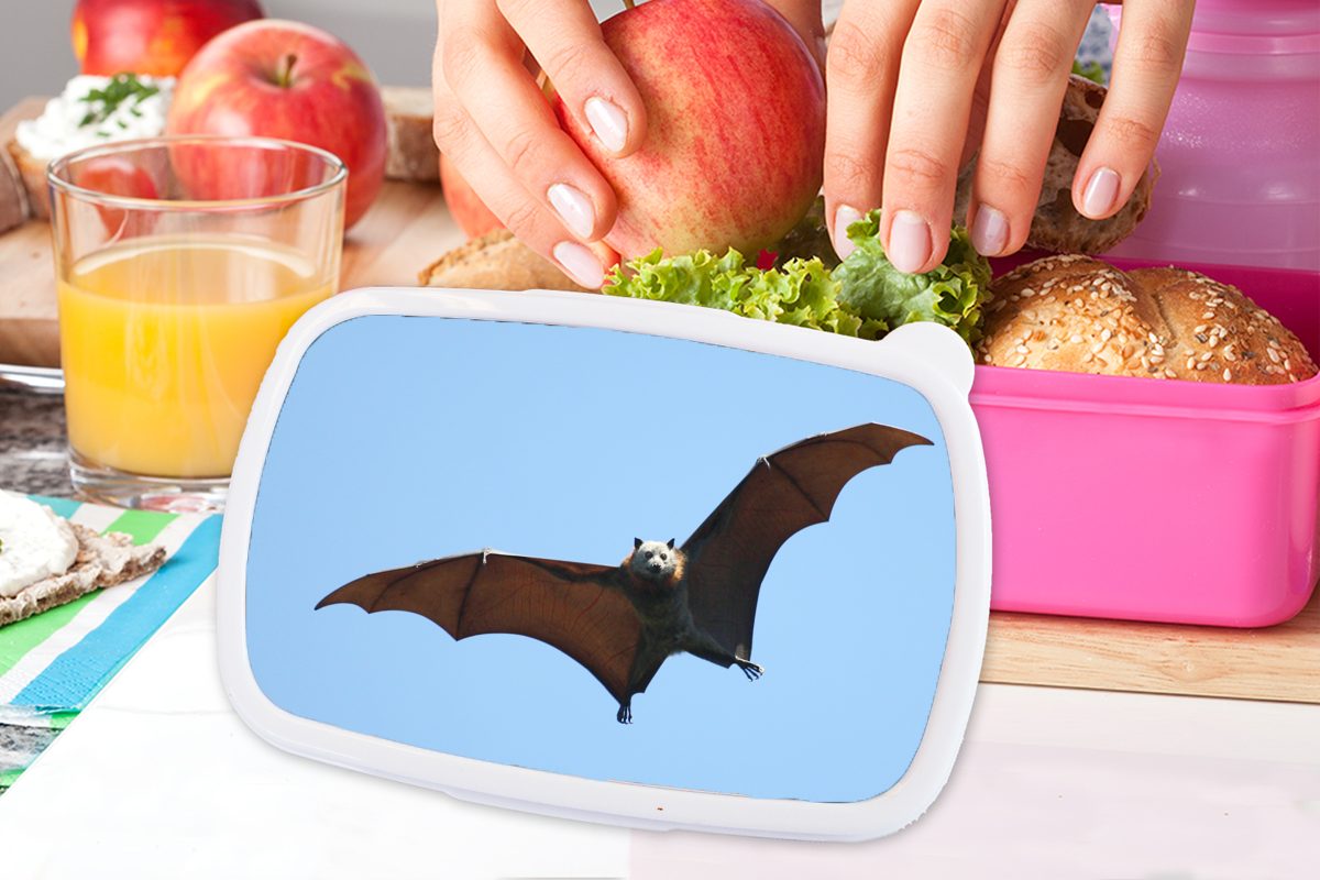 MuchoWow Lunchbox Fledermaus - Luft Erwachsene, Kunststoff Mädchen, Kinder, Brotbox Flügel, Snackbox, Kunststoff, - rosa für (2-tlg), Brotdose