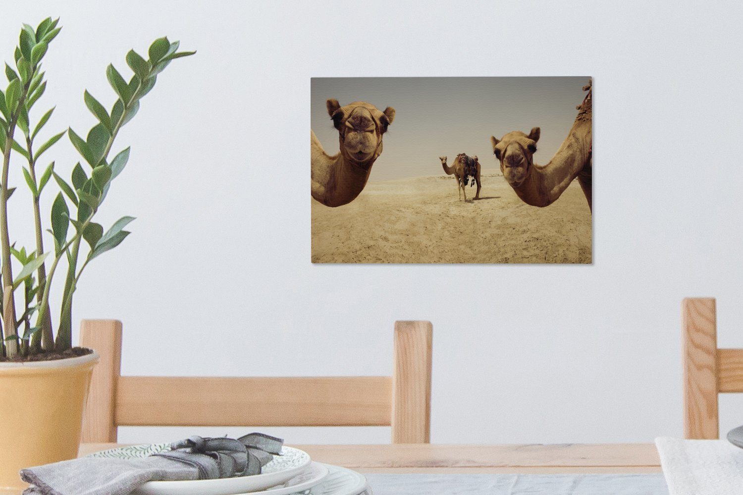 cm Leinwandbilder, (1 Gatar, Wandbild Doha Kamele Wanddeko, OneMillionCanvasses® in Leinwandbild St), 30x20 Aufhängefertig,