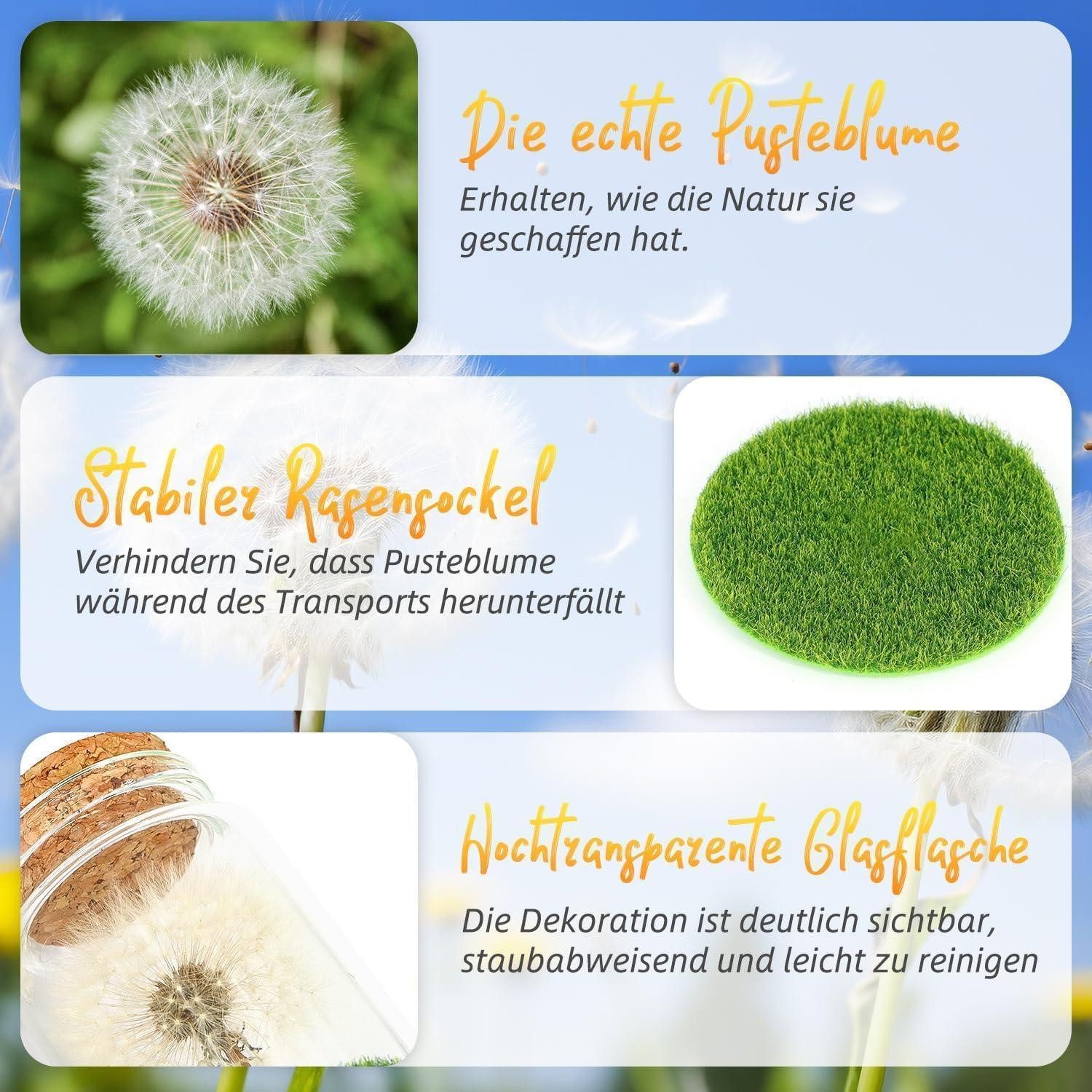 Trockenblume Echte Pusteblume im Glas Geschenkbox handgefertigt Geburtstag Hochzeit, LuxusKollektion