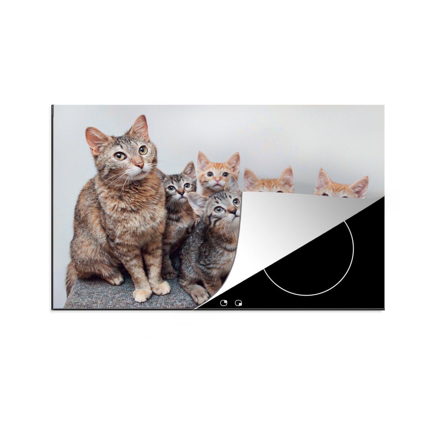 Vinyl, cm, Katze Induktionskochfeld tlg), Schutz für 81x52 Kätzchen die Ceranfeldabdeckung MuchoWow (1 Fell, Herdblende-/Abdeckplatte küche, - -