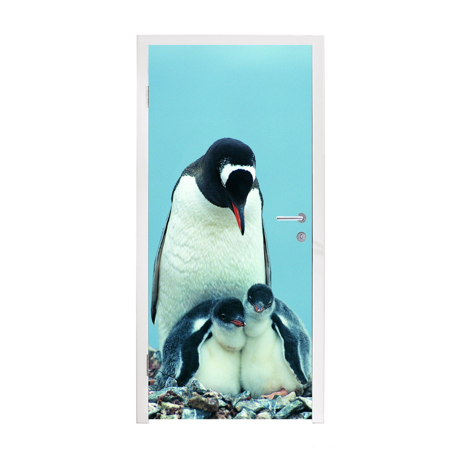 MuchoWow Türtapete Tiere - Pinguine - Küken, Matt, bedruckt, (1 St), Fototapete für Tür, Türaufkleber, 75x205 cm