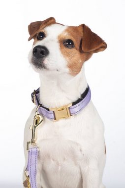 HKM Dogs Hunde-Halsband Hundehalsband -Ida- Nylon, 100% Nylon