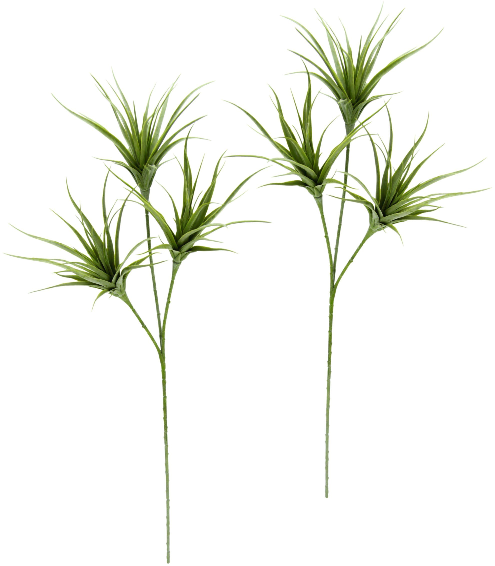 Kunstpflanze Tillandsia, I.GE.A., Höhe 63 cm, 2er Set grün | Kunstpflanzen