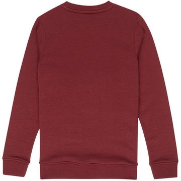 Element Sweatshirt CORNELL CLASSIC OTLR CORNELL CLASSIC OTLR