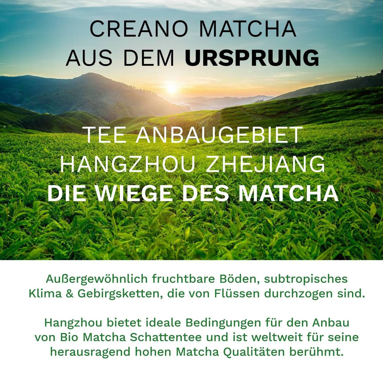 Creano Tee Creano Bio Matcha Tee 100g, 1 x 1 St., BIO Qualität