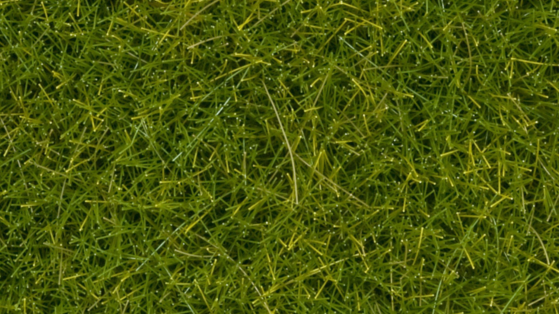 Modelleisenbahn-Grasfasern Wildgras XL, statisches Gras für Modellbau, 12 mm