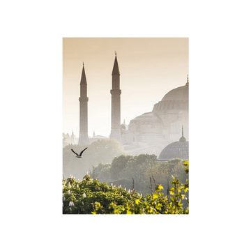 liwwing Fototapete Fototapete Istanbul Türkei Moschee Natur Nebel liwwing no. 250, Türkei