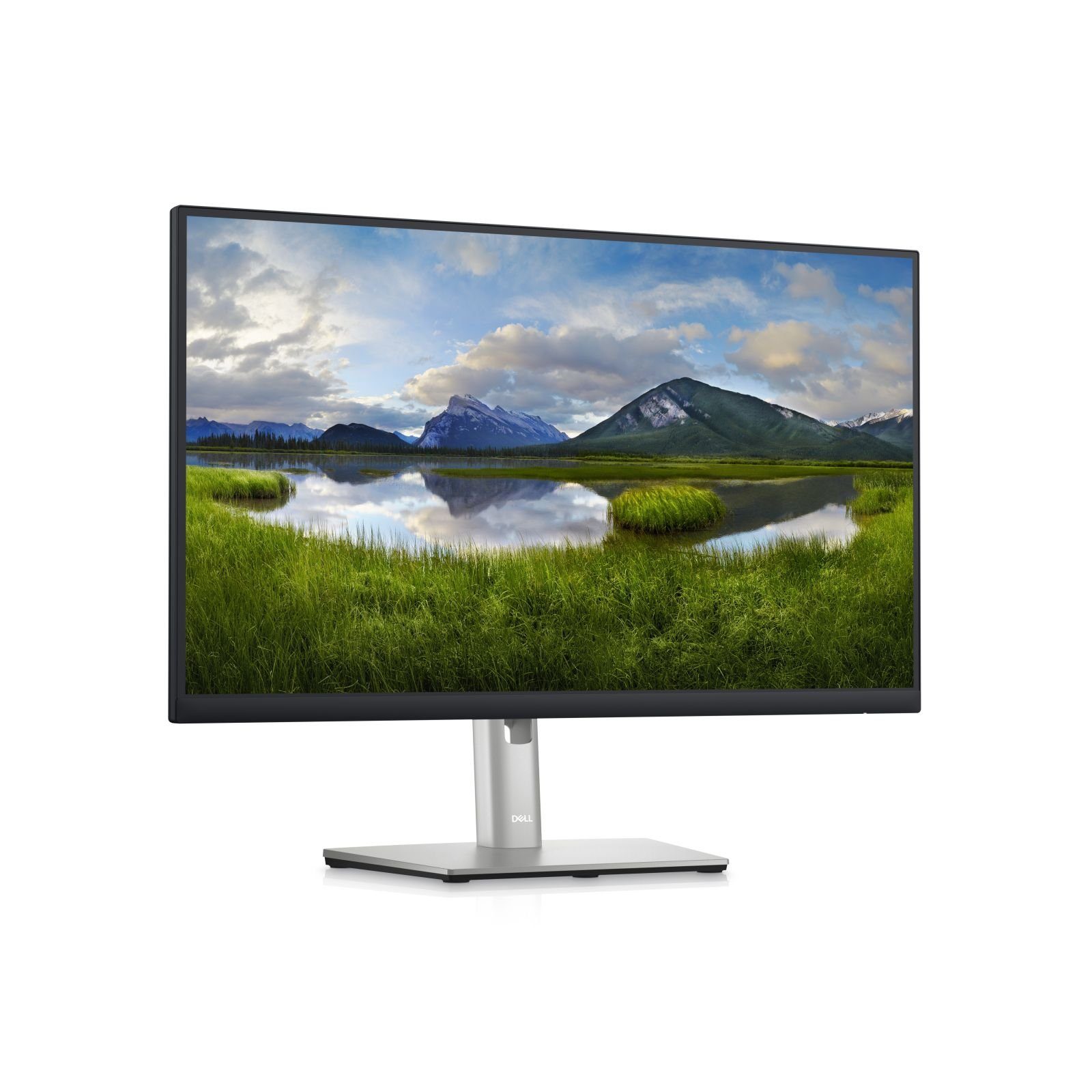 Dell TFT P2423DE 23.8IN QHD TFT-Monitor (2560 x 1440 px, Quad HD, 5 ms Reaktionszeit, 60 Hz, IPS, HDCP, Pivot, Höhenverstellbar)