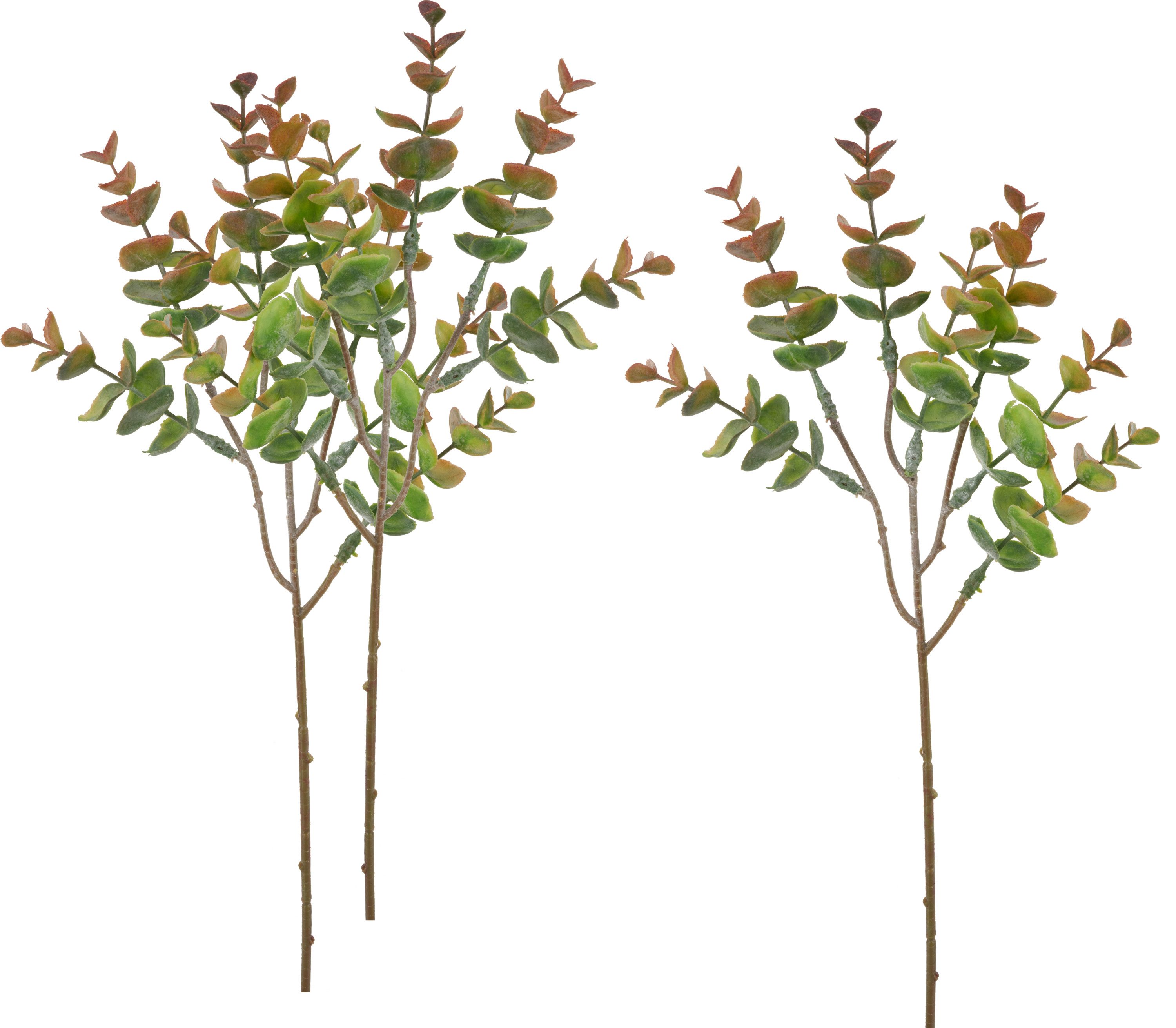 Kunstpflanze Eukalyptus Bendigo