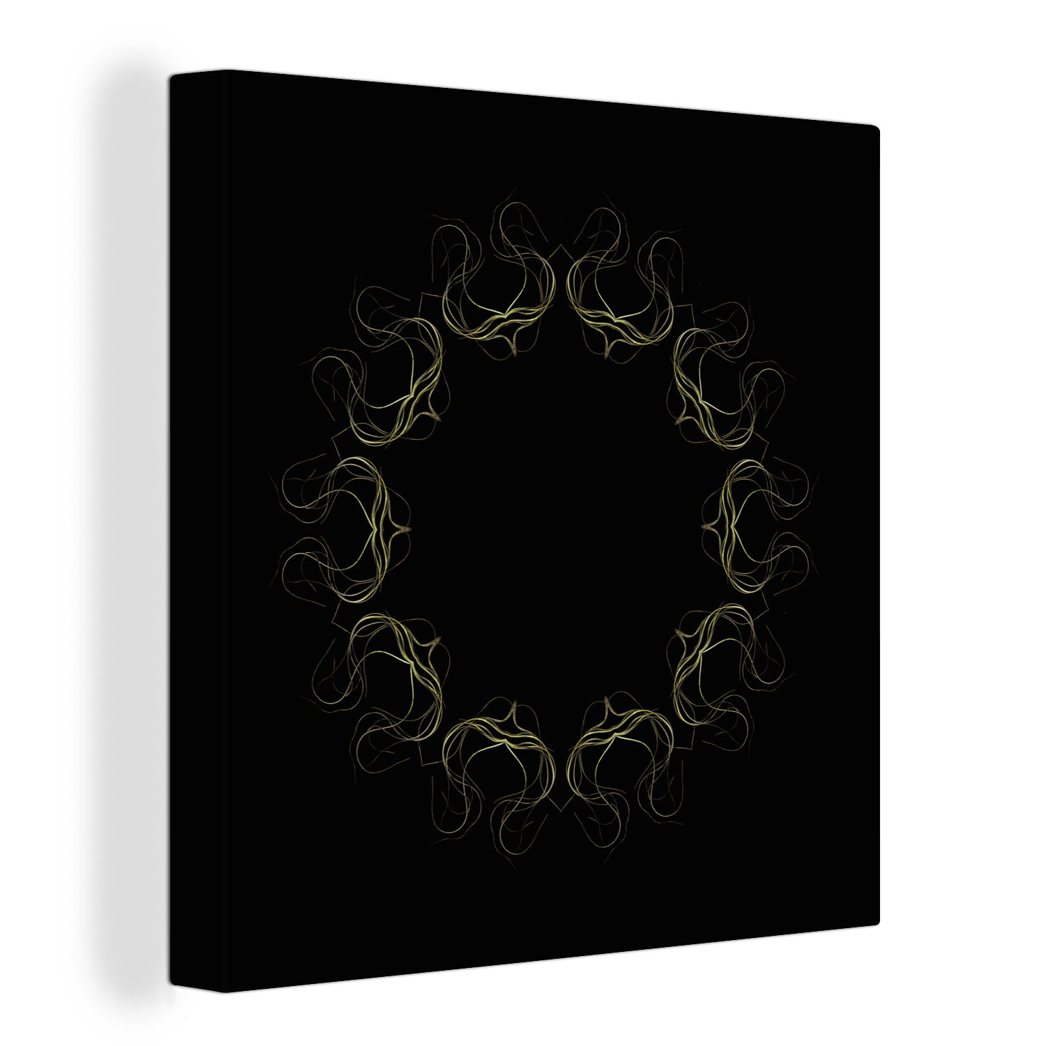 OneMillionCanvasses® Leinwandbild Ein Kreis aus mehreren Luftpflanzen auf schwarzem Hintergrund, (1 St), Leinwand Bilder für Wohnzimmer Schlafzimmer