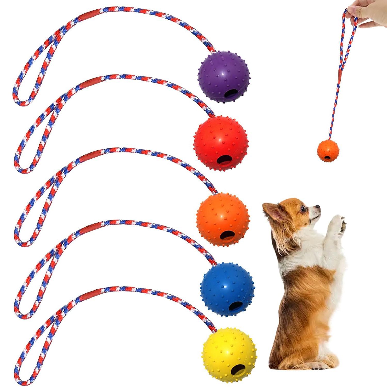 TUWENA Outdoor-Spielzeug Hundeball Wurfspielzeug 5 Stück mit Schnur, Naturkautschuk für Hunde, Texturierte Oberfläche für Zahnpflege und besseren Halt beim Wurfspiel