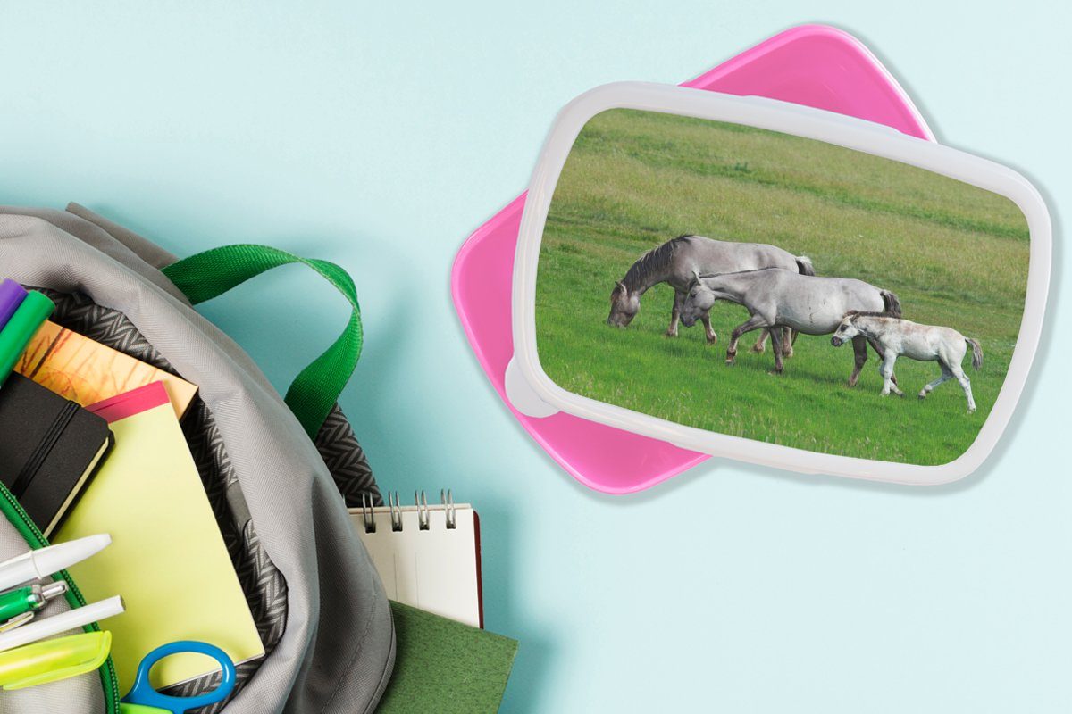 Lunchbox Erwachsene, (2-tlg), Pferde Brotbox Kunststoff Kinder, - MuchoWow rosa Mädchen, Kunststoff, - für Snackbox, Brotdose Tiere Gras,