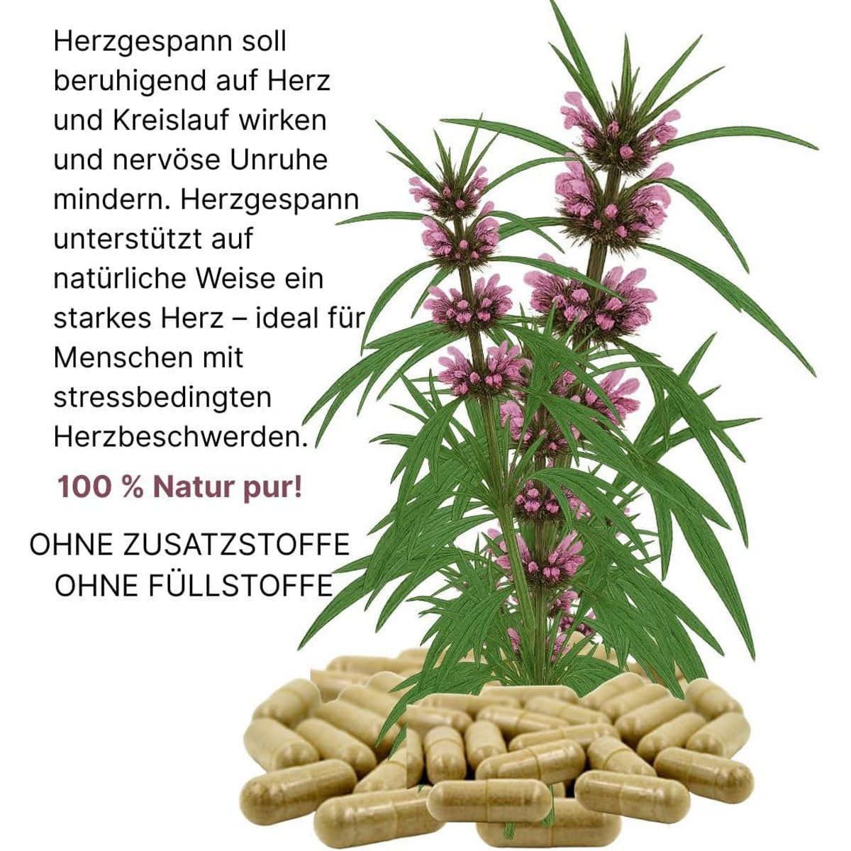 VitalLife Echtes Herzgespannkraut Herzgepann nach Hildegard von Bingen Kapseln, 1 er Dose à 120 St., 36 g, Art. 26865-120