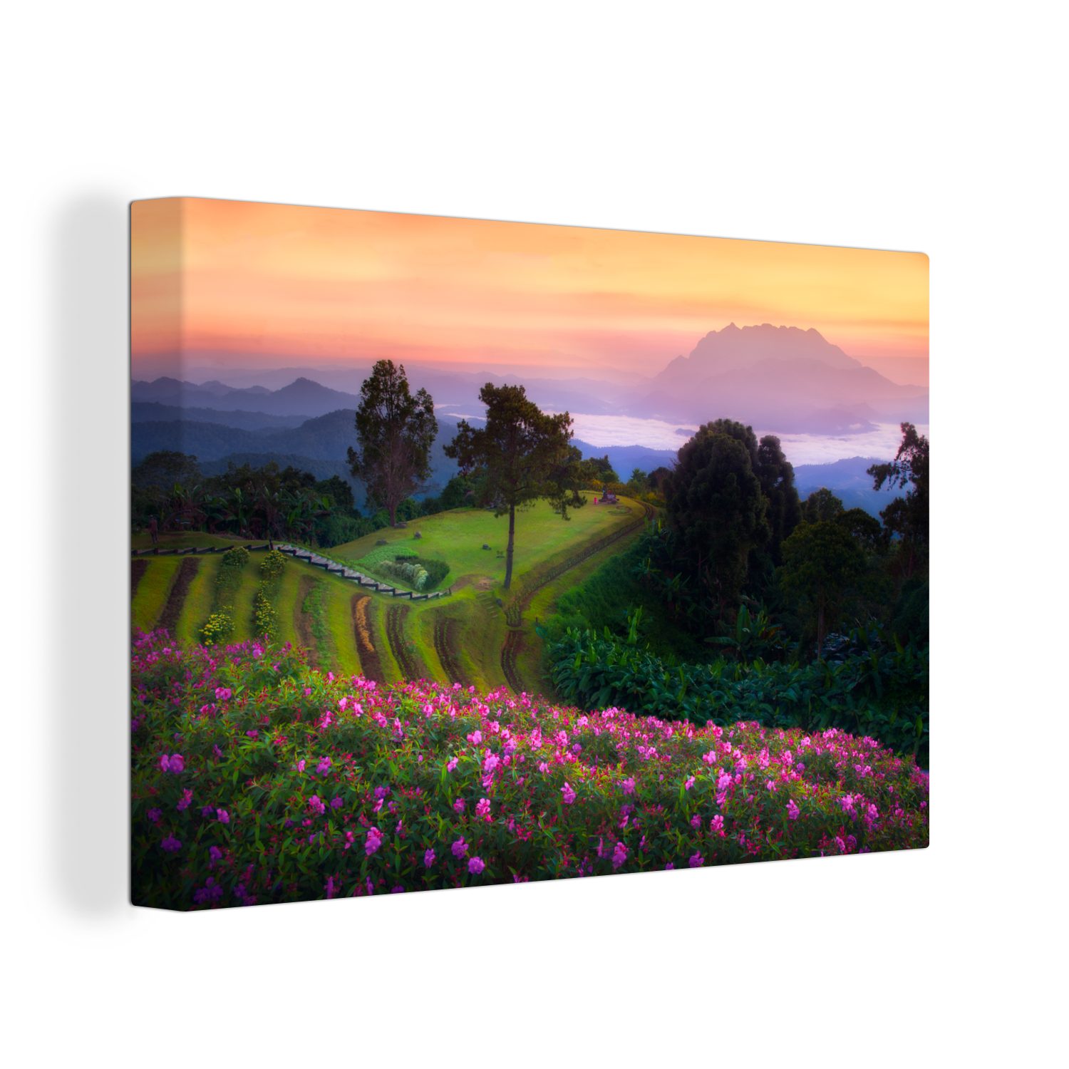 OneMillionCanvasses® Leinwandbild Feld - Blumen - Rosa, (1 St), Wandbild Leinwandbilder, Aufhängefertig, Wanddeko, 30x20 cm | Leinwandbilder