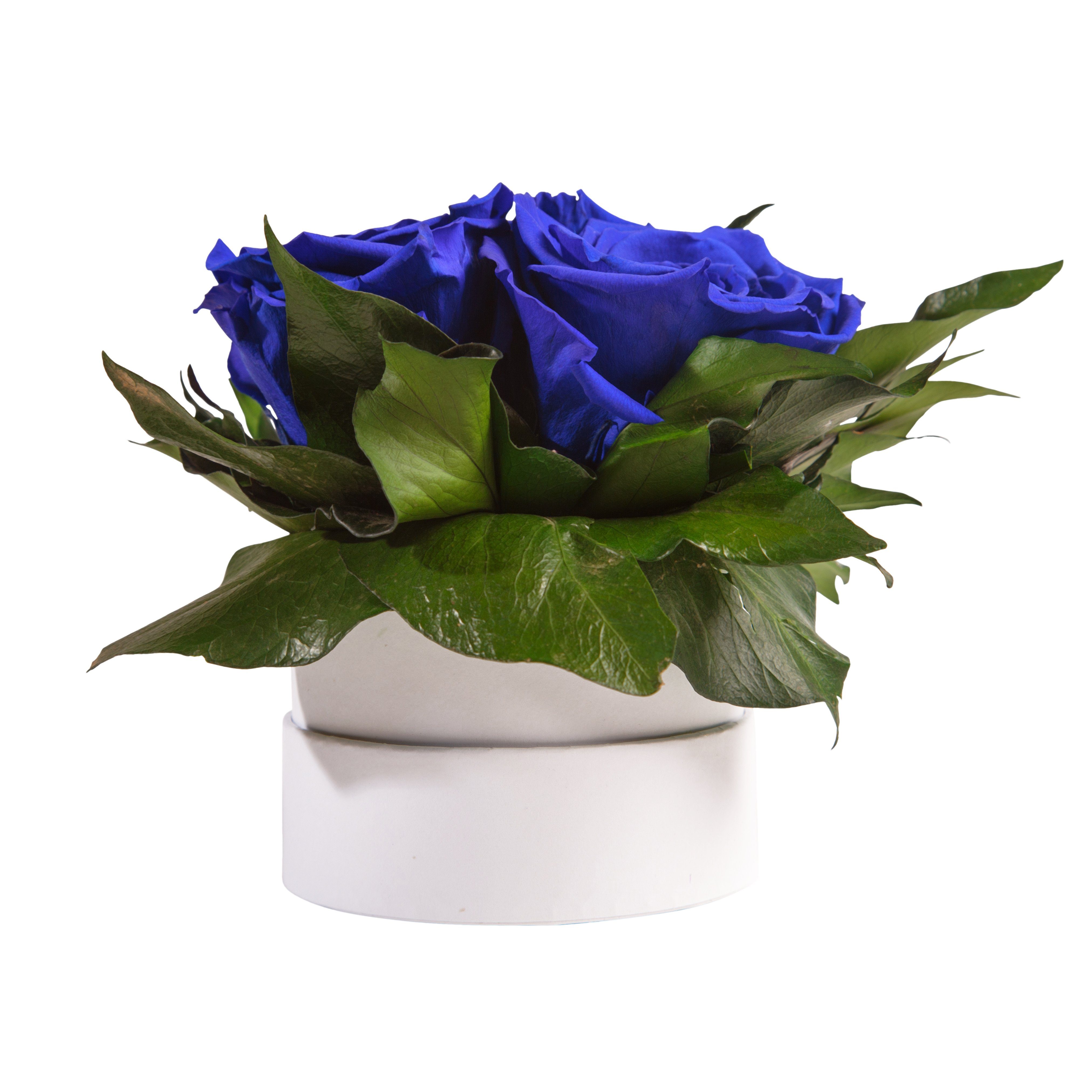 Kunstblume Infinity Rosenbox weiß rund 3 echte Rosen konserviert Rose, ROSEMARIE SCHULZ Heidelberg, Höhe 10 cm, Geschenk für Sie Rosen Blau