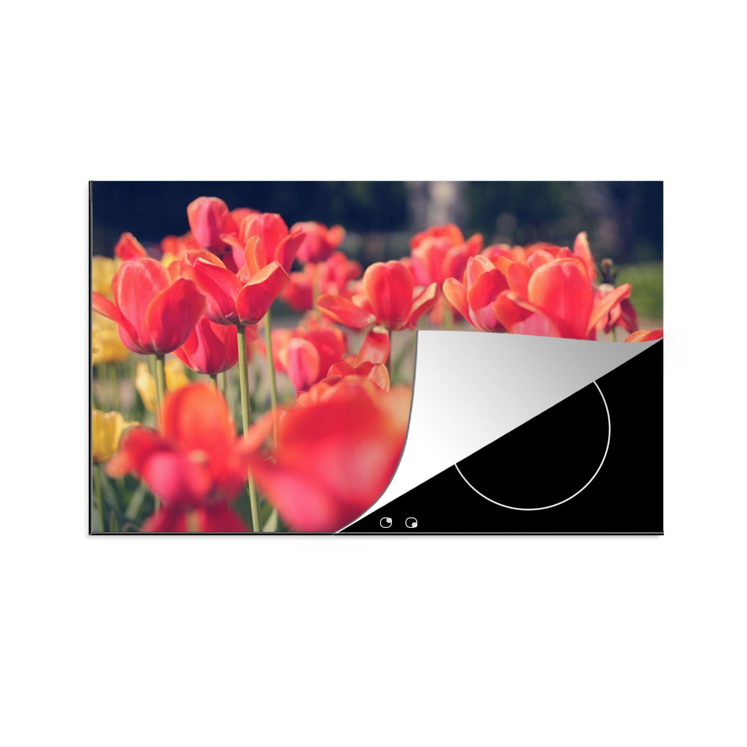 MuchoWow Herdblende-/Abdeckplatte Tulpen - Blumen - Natur, Vinyl, (1 tlg), 80x52 cm, Induktionskochfeld Schutz für die küche, Ceranfeldabdeckung