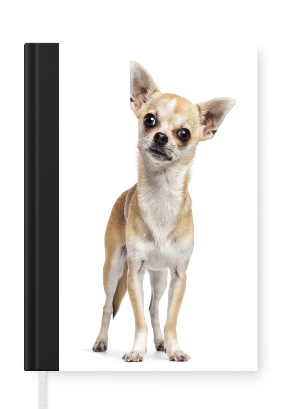 MuchoWow Notizbuch Chihuahua schaut in die Kamera, Journal, Merkzettel, Tagebuch, Notizheft, A5, 98 Seiten, Haushaltsbuch
