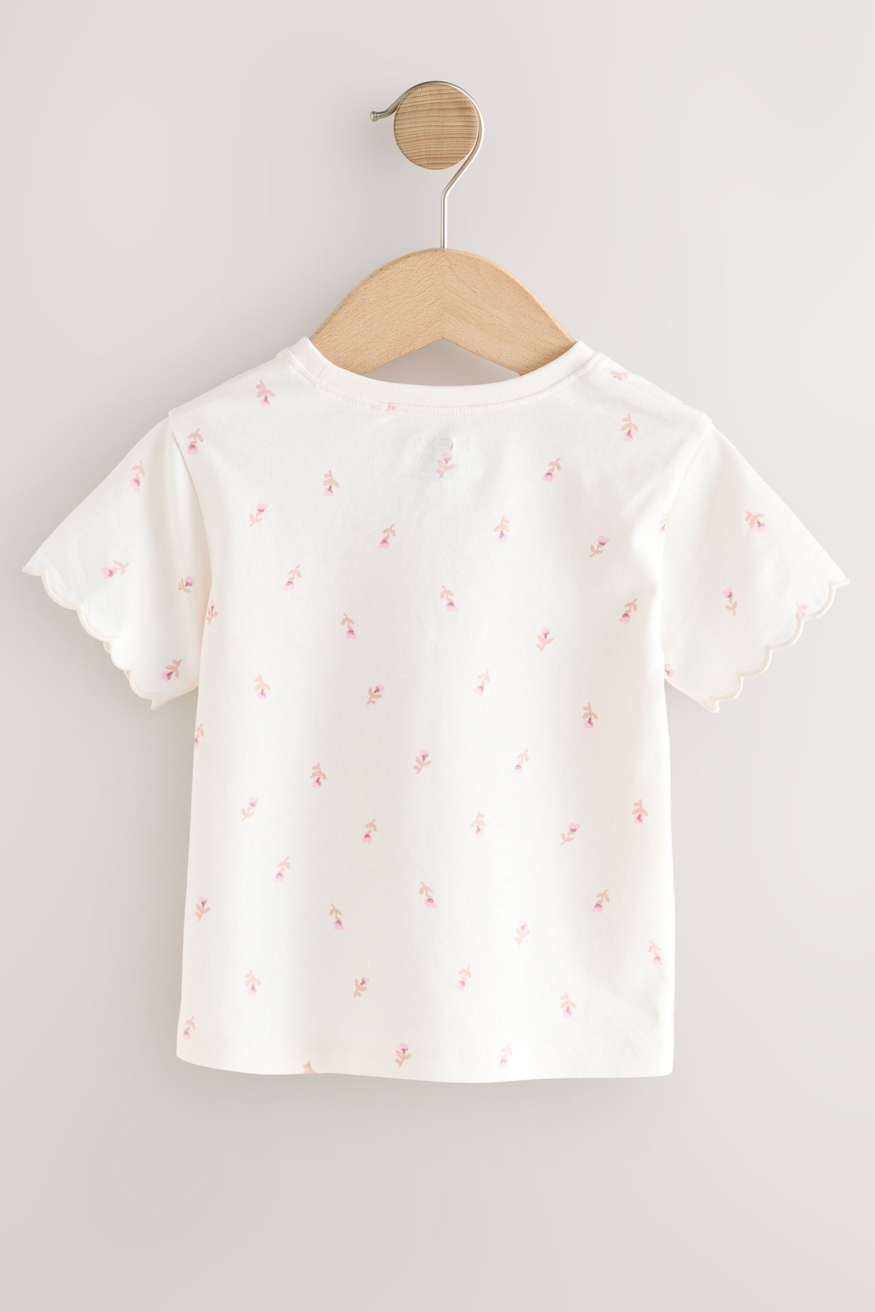 Next T-Shirt Kurzarm-T-Shirt mit Bogenkante aus günstig online kaufen