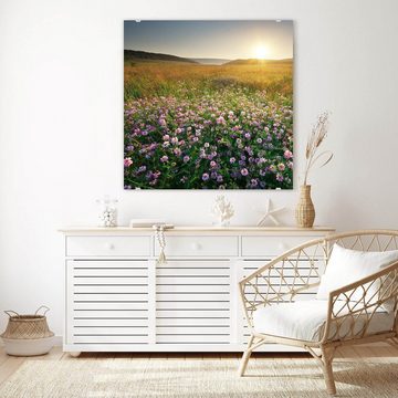 Primedeco Glasbild Wandbild Quadratisch Wiesenlandschaft mit Aufhängung, Natur