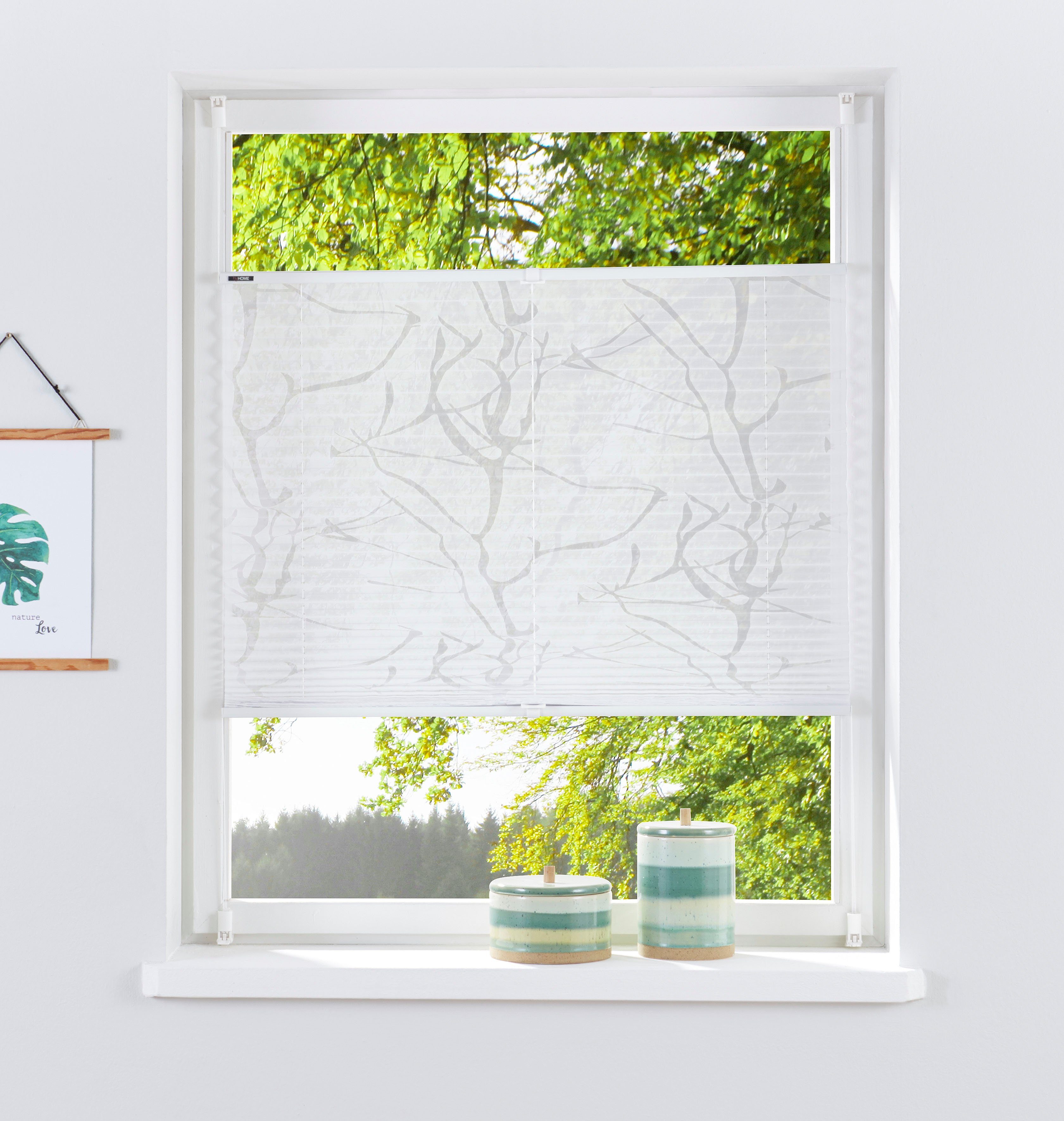 my home Plissee Anna, Lichtschutz, ohne Bohren, verspannt, Klemmfix, Ästemo günstig online kaufen