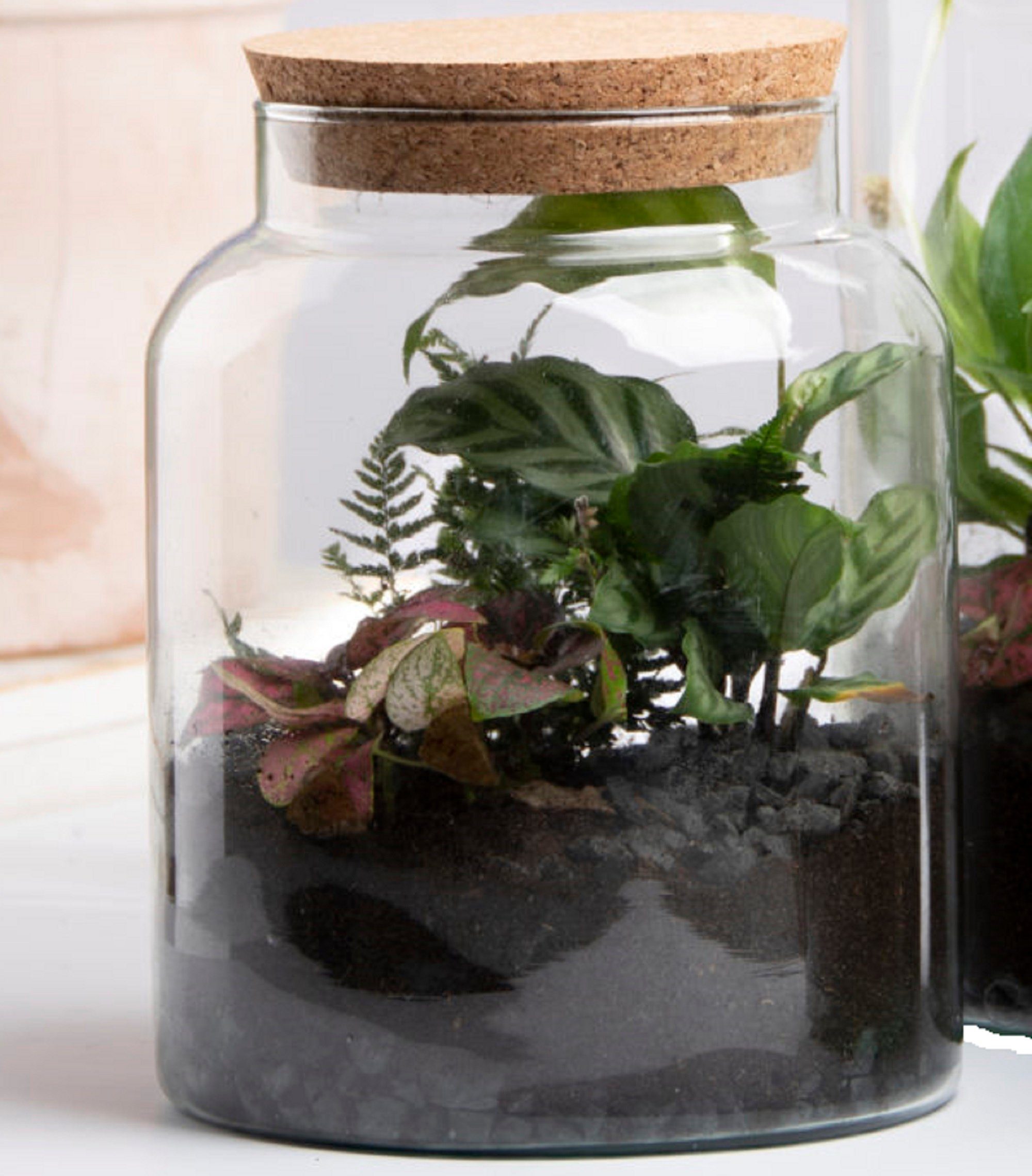 esschert design Übertopf Halboffene Terrarium Flasche Glas 5L Pflanzen Deko Gewächs Haus Blumen Kork Haus