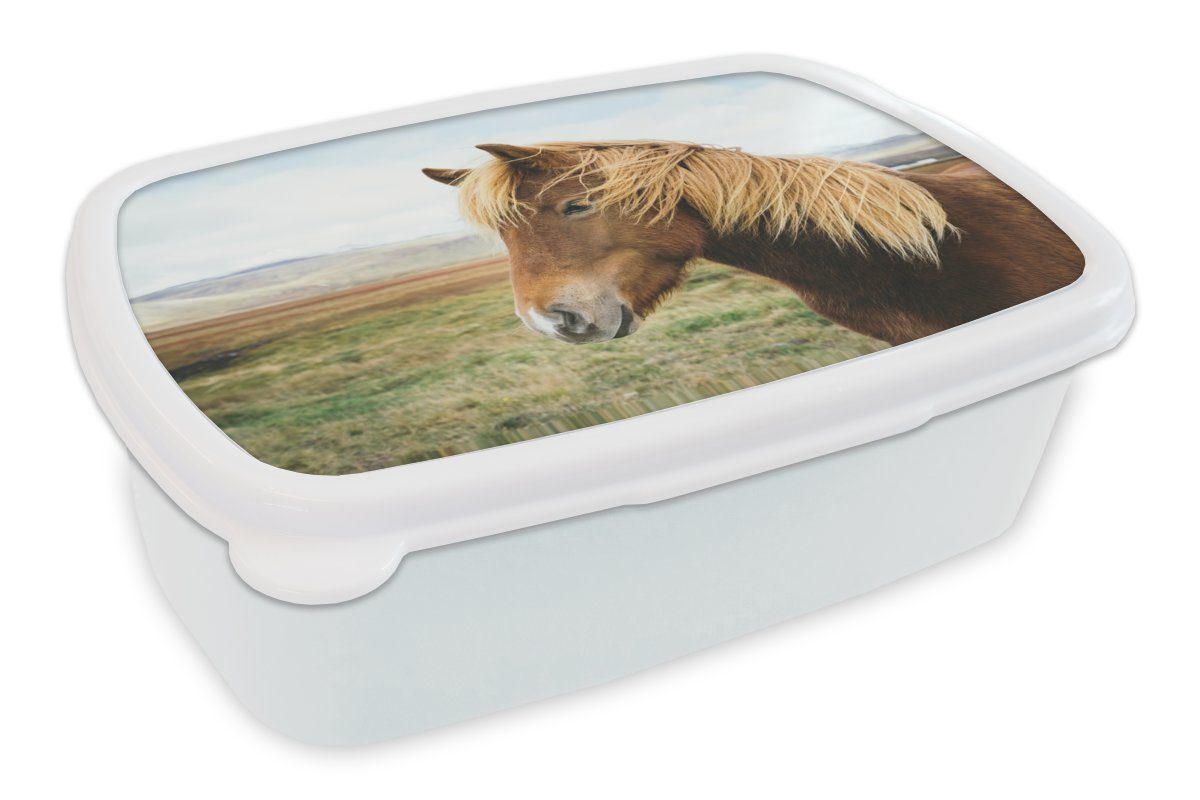 MuchoWow Lunchbox Pferd - Natur - Island, Kunststoff, (2-tlg), Brotbox für Kinder und Erwachsene, Brotdose, für Jungs und Mädchen weiß