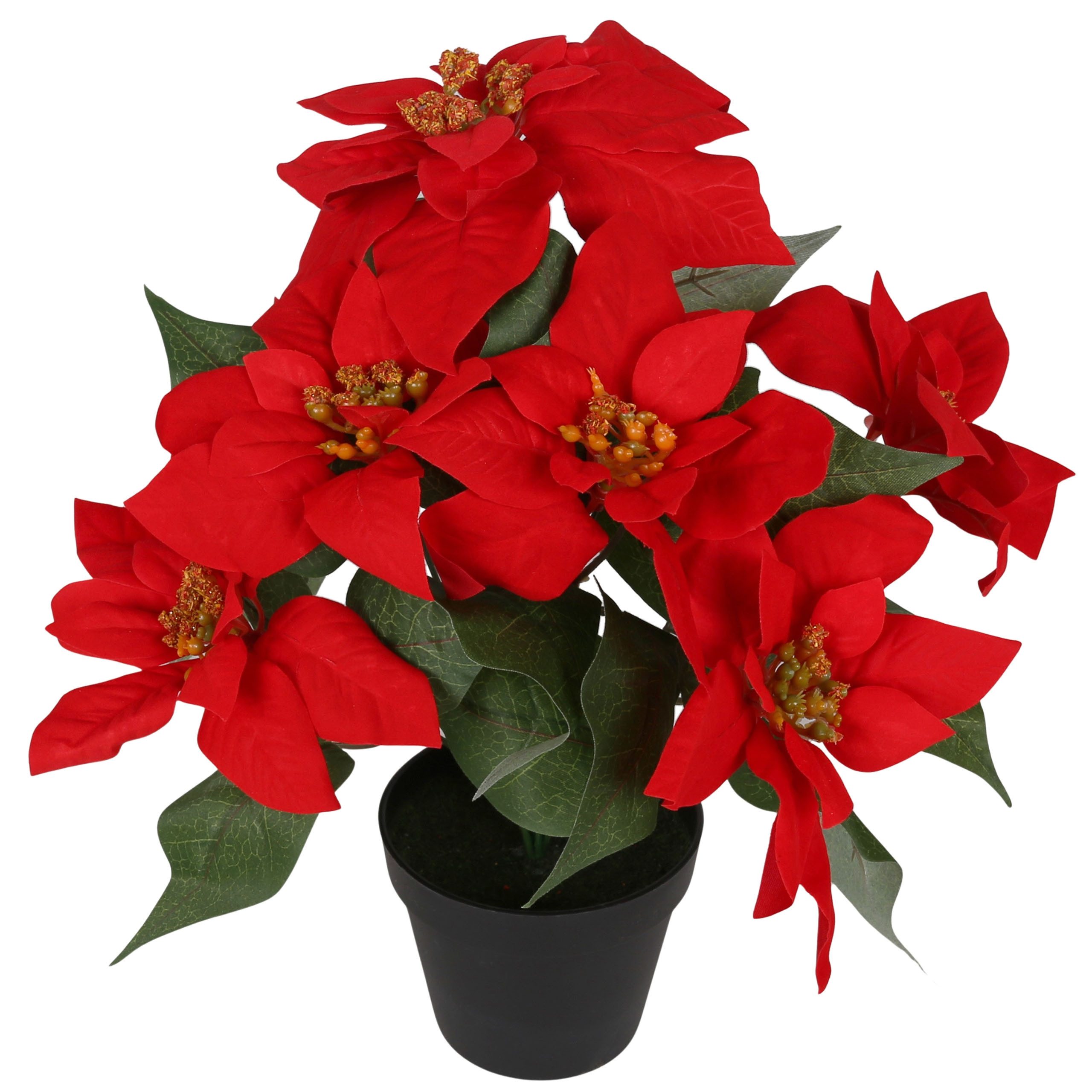 Kunstblume Künstliche Blume im Topf, roter Stern von Bethlehem, 35 cm, Sarc günstig online kaufen