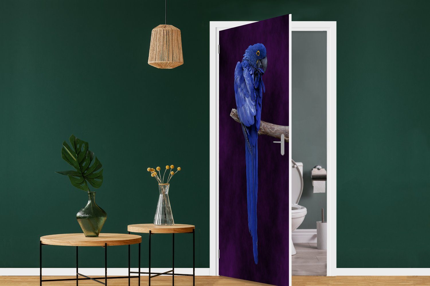MuchoWow Türtapete bedruckt, Tür, Türaufkleber, für vor Hintergrund, Matt, cm Fototapete St), dunkelblauen Ein 75x205 Hyazinth-Ara einem (1