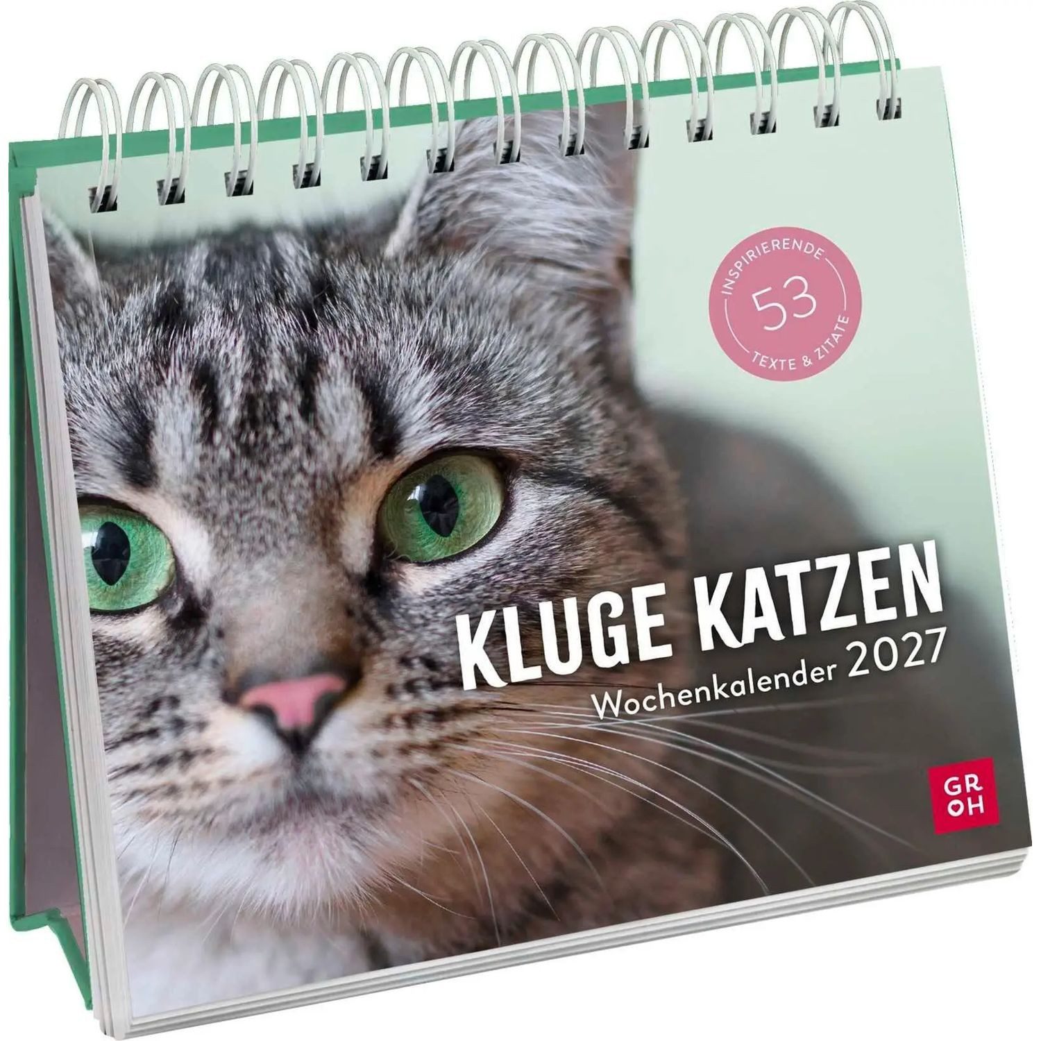 groh Verlag Tischkalender Wochenkalender 2027: Kluge Katzen