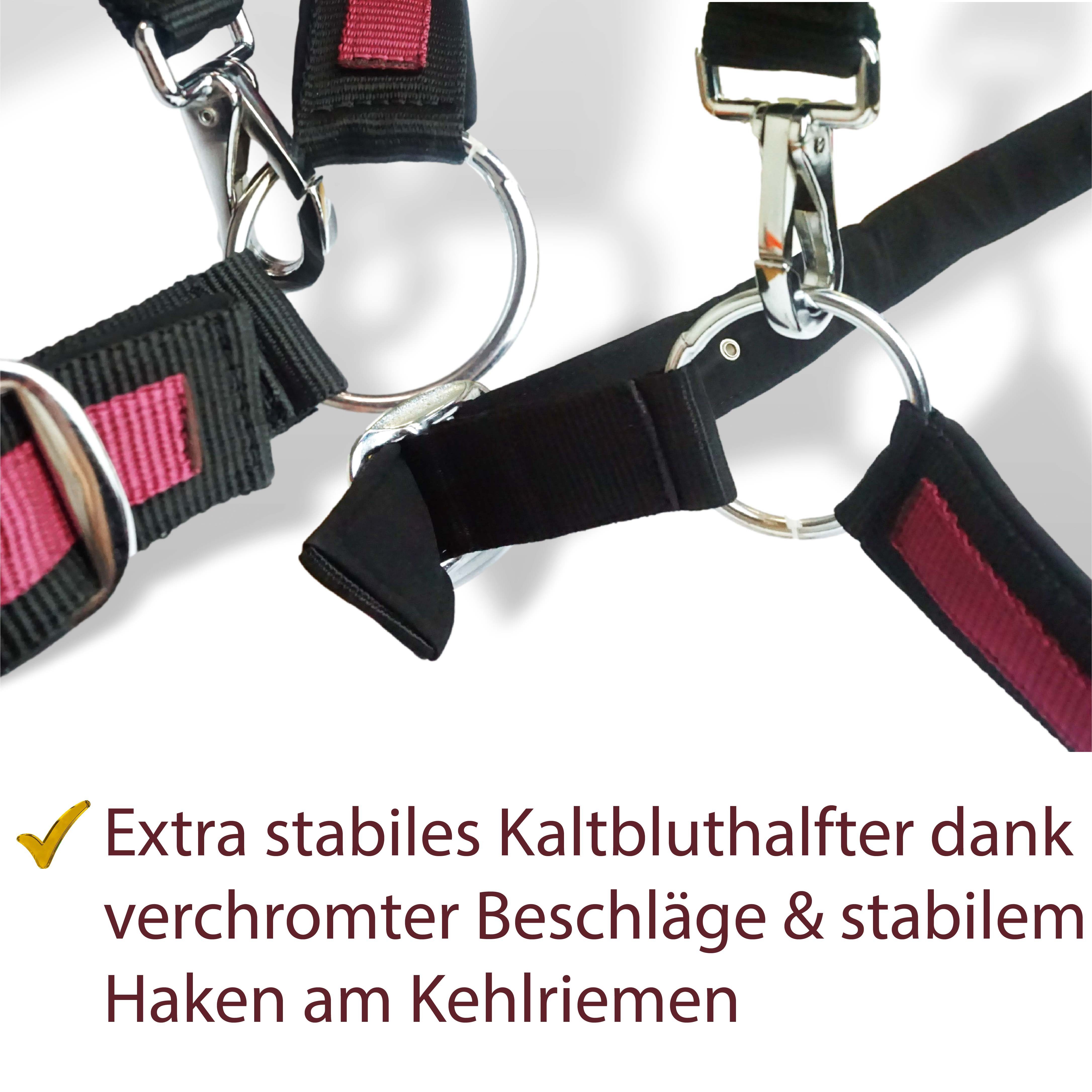 Pferdelinis Halfter Halfter für Pferde Kaltblut, xfull, 2 Fach verstellbar, zweifach verstellbar