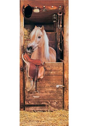 PAPERMOON Фотообои »Horse в Stable - T&uum...