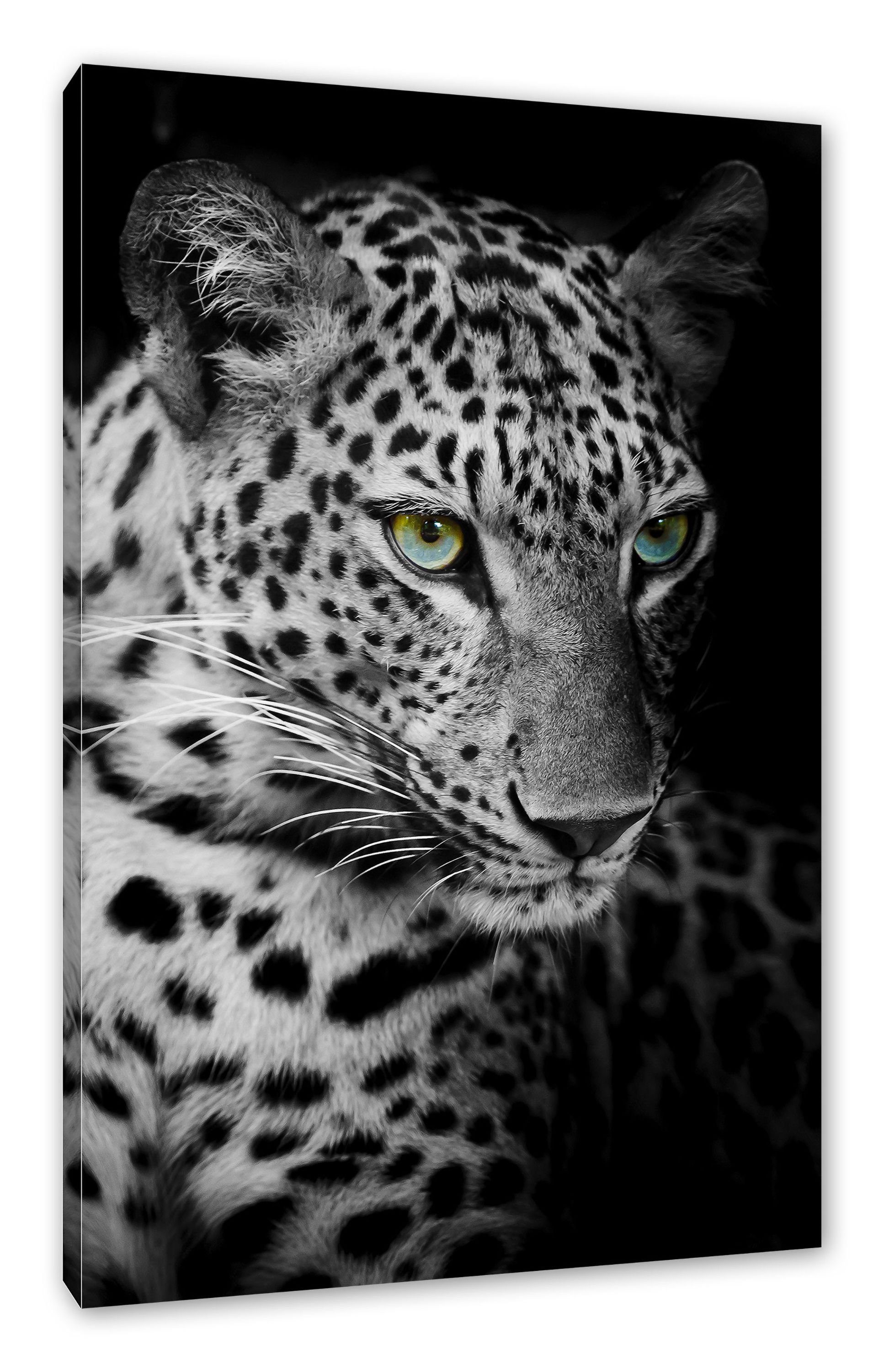 St), Zackenaufhänger Leopardenkopf Leopardenkopf, fertig bespannt, (1 Pixxprint Leinwandbild inkl. Leinwandbild