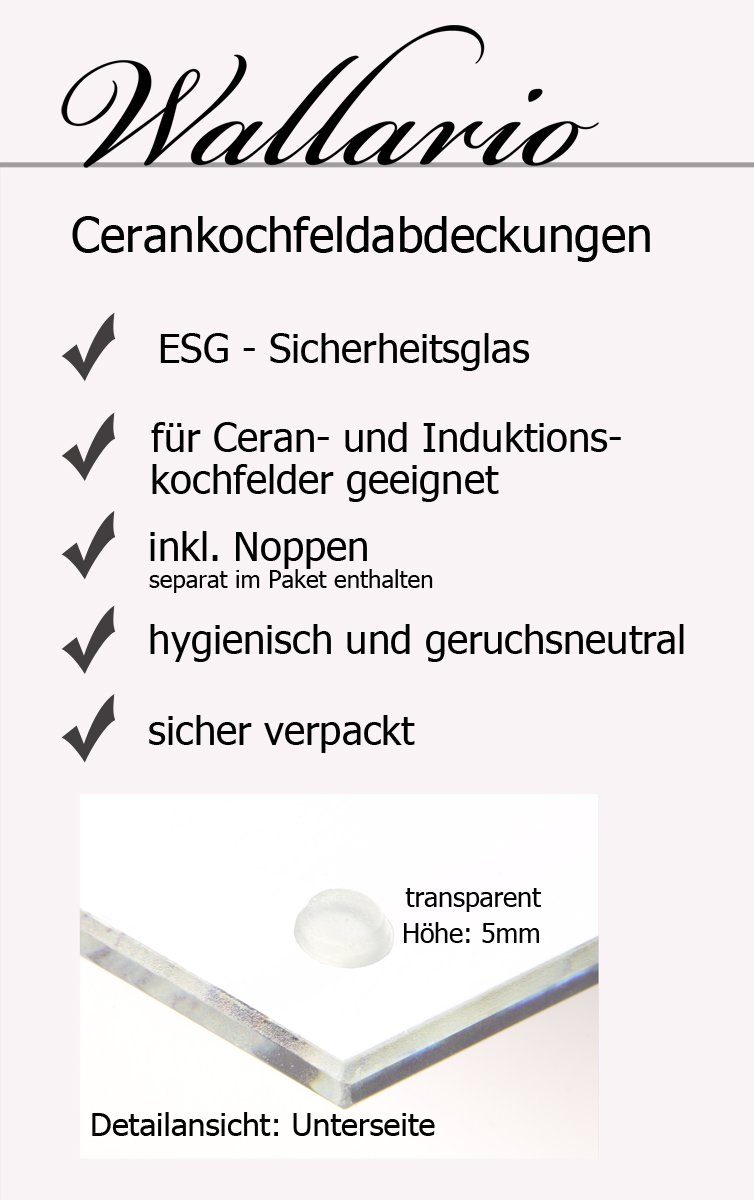 inkl. verschiedene ESG-Sicherheitsglas, Noppen), Größen tlg., Grüne Wasser, 1 im (Glasplatte, Wallario Herd-Abdeckplatte Kiwi-Scheibe 5mm