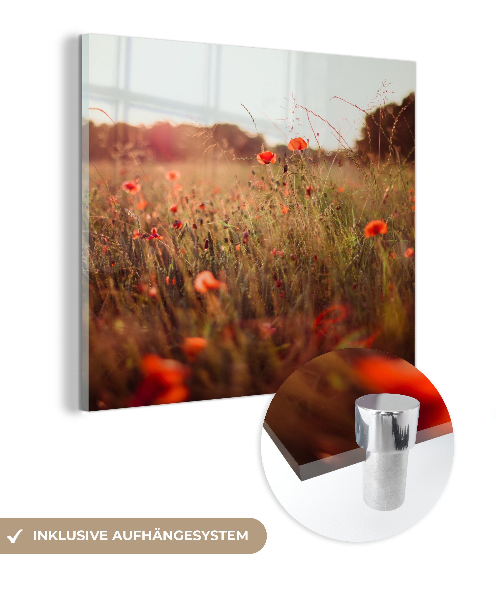 Sonnenuntergang St), Acrylglasbild Glas (1 - auf auf Glas Bilder Blumen - - Glasbilder MuchoWow - Wandbild Foto - Rot, Wanddekoration