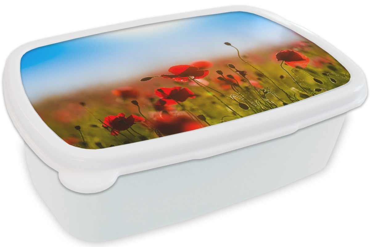 MuchoWow Lunchbox weiß und Himmel., Brotdose, blauen (2-tlg), einem Brotbox Erwachsene, für und klaren Kinder Kunststoff, unter Mohnblumen Mädchen für Jungs