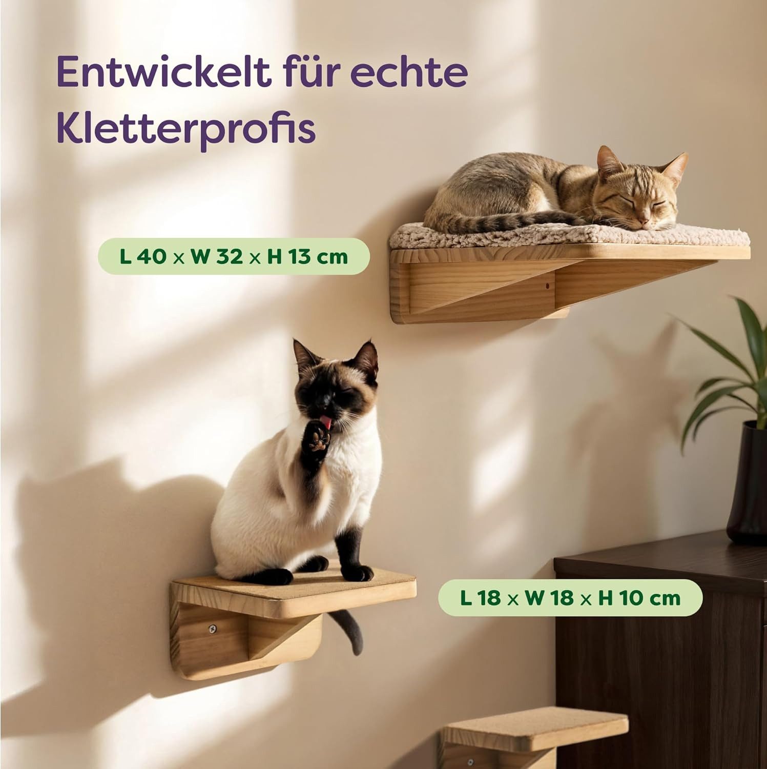 Knupis Kratzbaum Katzen Kletterwand Set mit Katzenbett & 2X Katzentreppe - günstig online kaufen