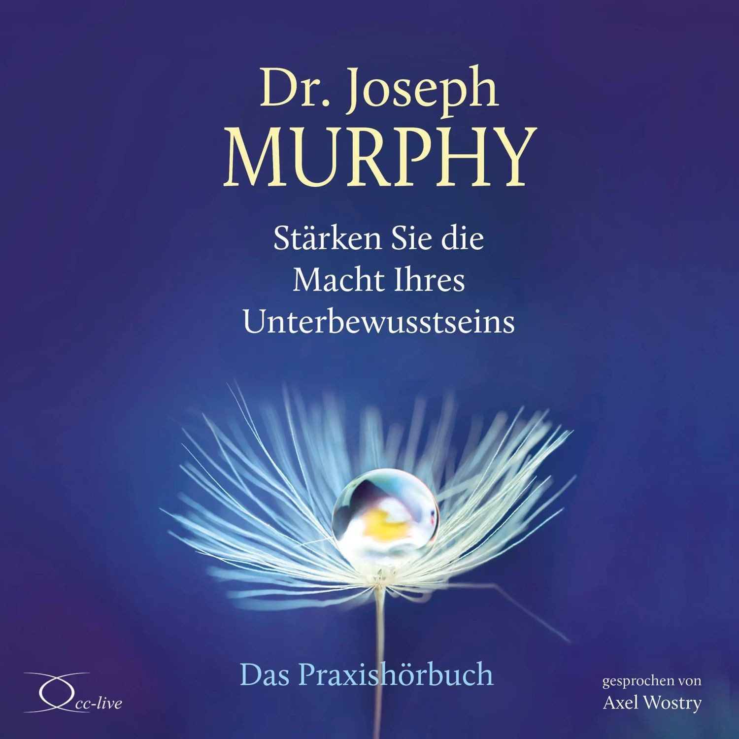 Hörspiel Stärken Sie die Macht Ihres Unterbewusstseins