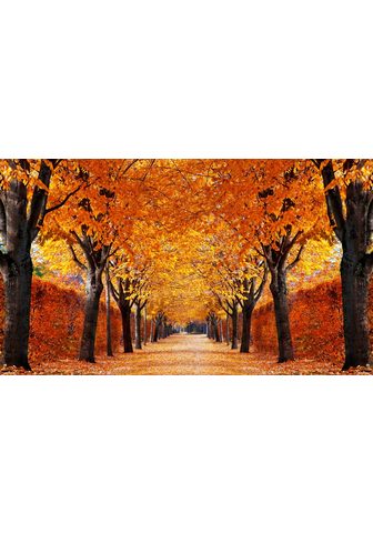  PAPERMOON фотообои »Autumn Alley...