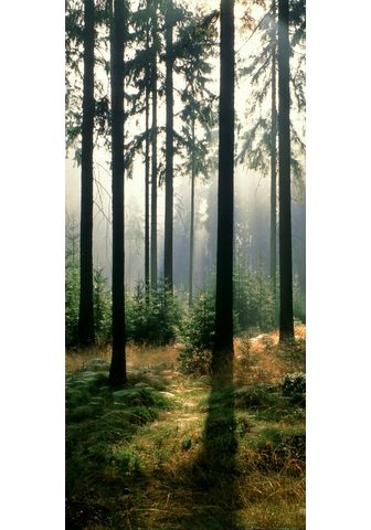 PAPERMOON Фотообои »Forest - Türtapet...
