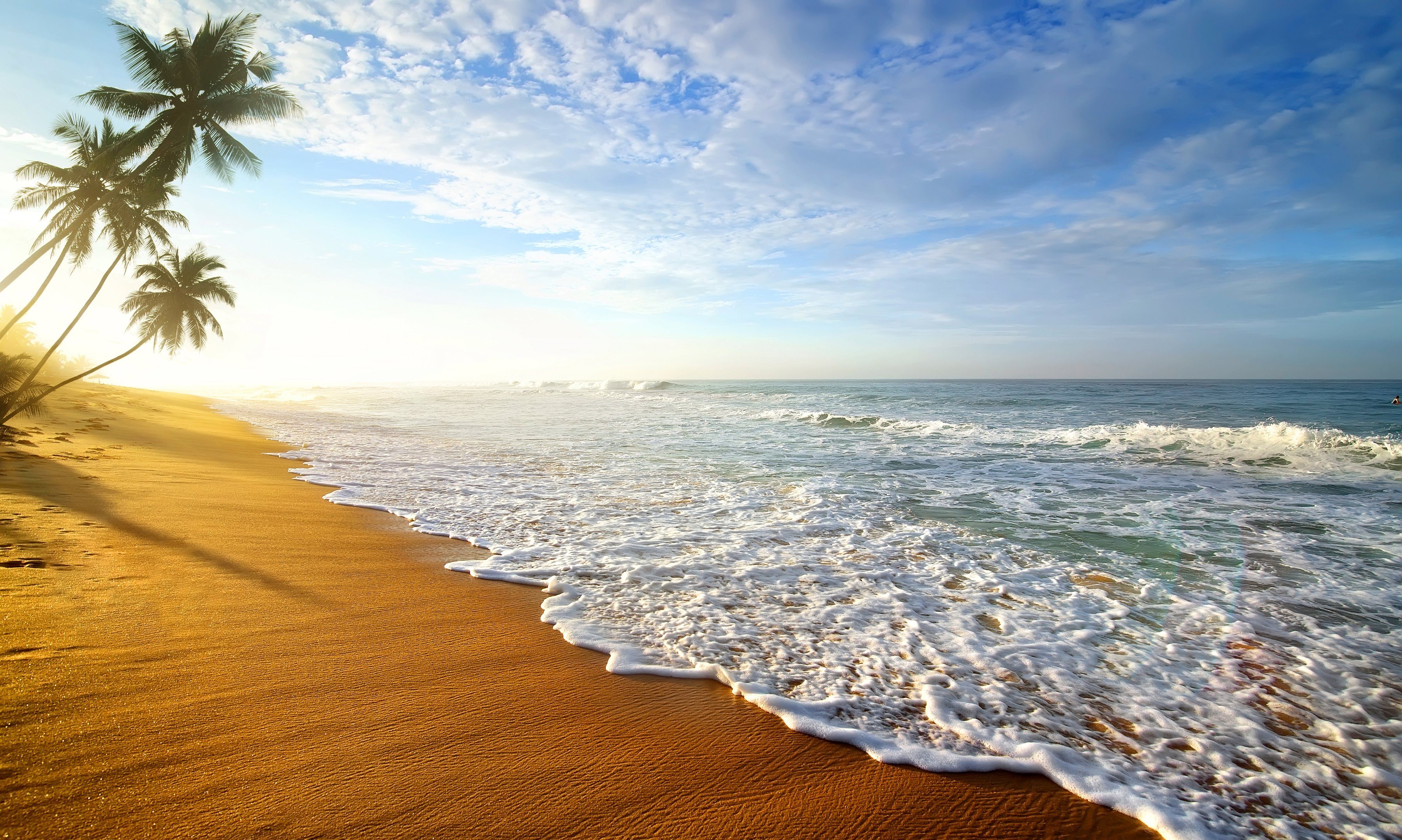 PAPERMOON Fototapete »Palm Beach Sri Lanka«, Vlies, 7 ...