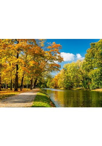 PAPERMOON Фотообои »River в Autumn Park&la...
